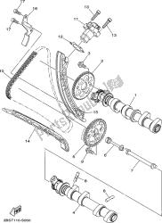 CAMSHAFT & CHAIN