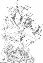 RADIATOR & HOSE