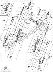 forcella anteriore