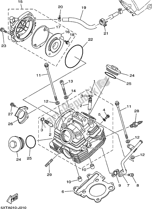 All parts for the Cylinder Head of the Yamaha XT 250 2019