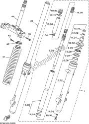 forcella anteriore