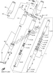 forcella anteriore