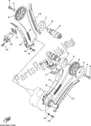 CAMSHAFT & CHAIN