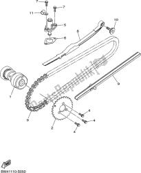 CAMSHAFT & CHAIN