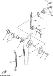 CAMSHAFT & CHAIN