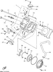 testata