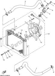 RADIATOR & HOSE