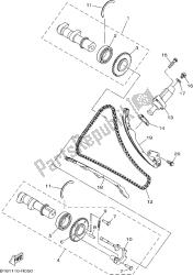 CAMSHAFT & CHAIN