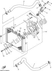 RADIATOR & HOSE