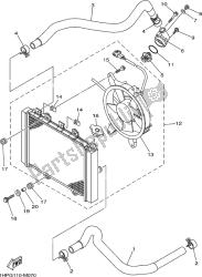 RADIATOR & HOSE