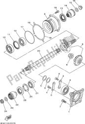 MIDDLE DRIVE GEAR