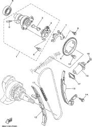 CAMSHAFT & CHAIN