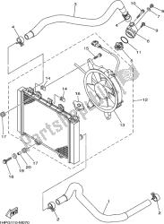 RADIATOR & HOSE