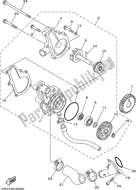 All parts for the Water Pump of the Yamaha YFM 700R Raptor 700 2019