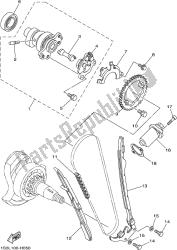 CAMSHAFT & CHAIN