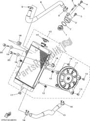 RADIATOR & HOSE