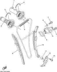 CAMSHAFT & CHAIN