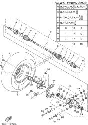 roda traseira 2