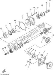 MIDDLE DRIVE GEAR