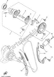 CAMSHAFT & CHAIN