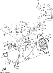 RADIATOR & HOSE