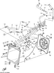 RADIATOR & HOSE