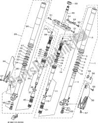 forcella anteriore