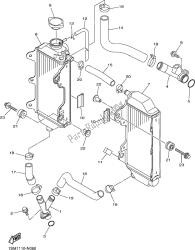 RADIATOR & HOSE