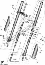 forcella anteriore