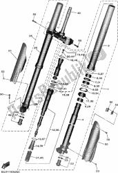 forcella anteriore