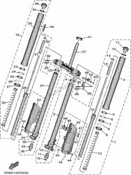 forcella anteriore