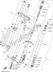 forcella anteriore