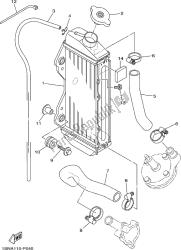 radiator slang