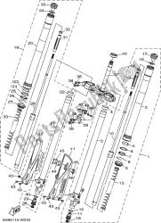 forcella anteriore