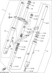 forcella anteriore