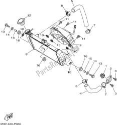 RADIATOR & HOSE