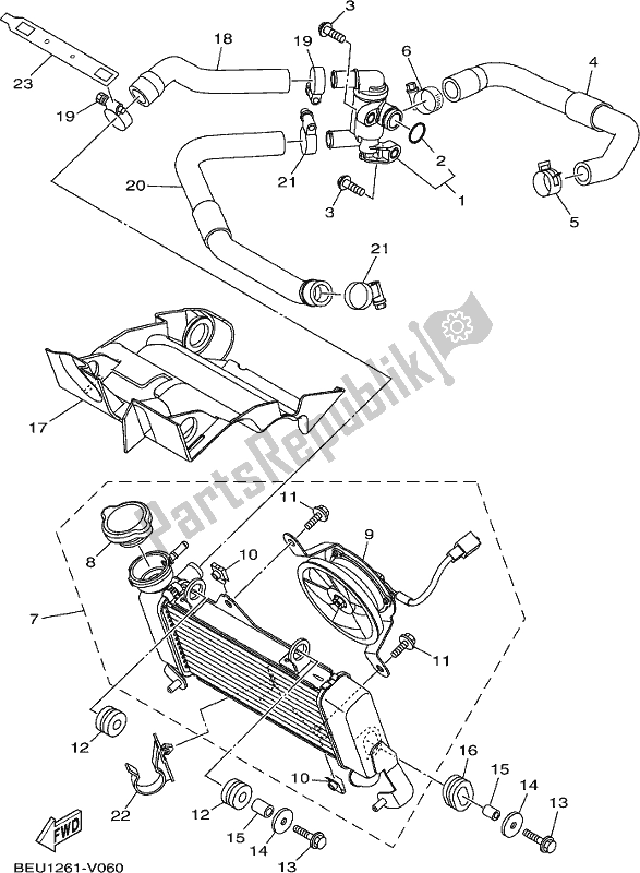 All parts for the Radiator & Hose of the Yamaha YZF 155 2021