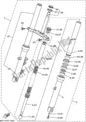 forcella anteriore