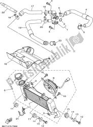 RADIATOR & HOSE