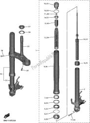 forcella anteriore