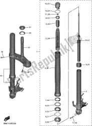 forcella anteriore