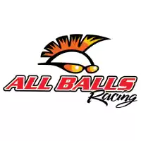 200386111, ALL Balls, Kit de rolamento liso 38-6111    , Novo