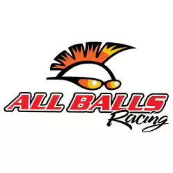 Here you can order the rep choke plunger kit 46-1036 from ALL Balls, with part number 200461036: