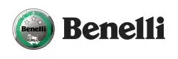 Here you can order the screw from Benelli, with part number R90750198E: