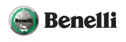 Qui puoi ordinare spillo da Benelli , con numero parte 150083070000: