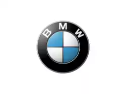 veiligheidsbeugel, links - chrom van BMW, met onderdeel nummer 46711240037, bestel je hier online: