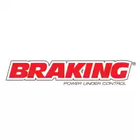 BRKW02RI, Braking, Disc rear ss    , New