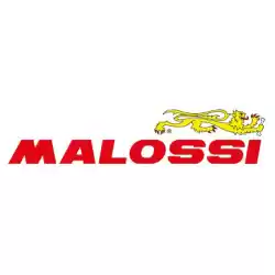Here you can order the malossi brake lining set, mhr from Malossi, with part number 629841: