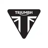 T1172003, Triumph, friction d'embrayage à disque    , Nouveau