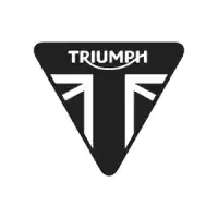 T1261190, Triumph, fermo del filo della piastra    , Nuovo